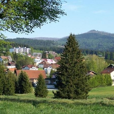 Aparthotel Haus Hochstein Haidmühle Exteriér fotografie
