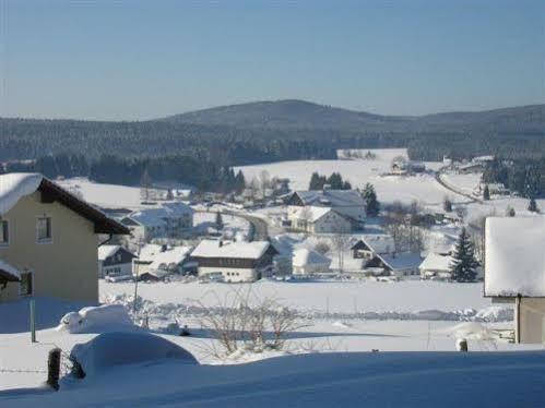 Aparthotel Haus Hochstein Haidmühle Exteriér fotografie